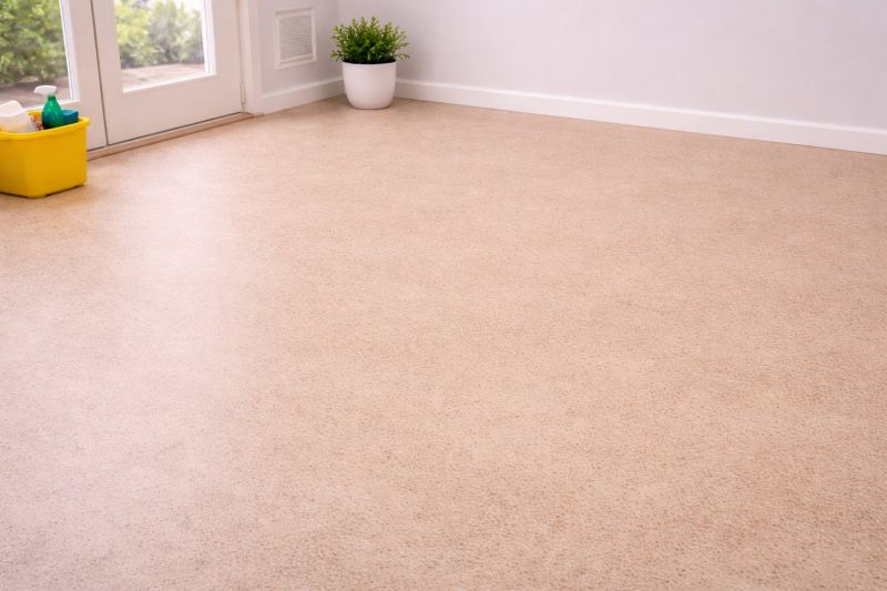 Sheet Linoleum Installation in Nokomis, FL